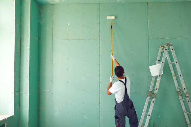 Trusted Cortland, IL Mold Removal Experts