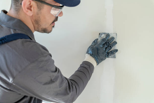 Best Residential Mold Inspection & Testing  in Cortland, IL