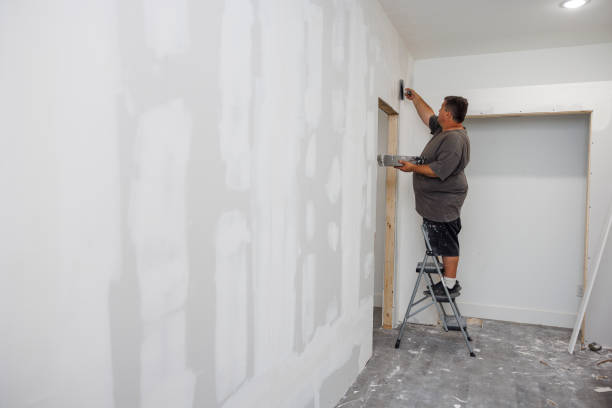 Best Emergency Mold Remediation  in Cortland, IL