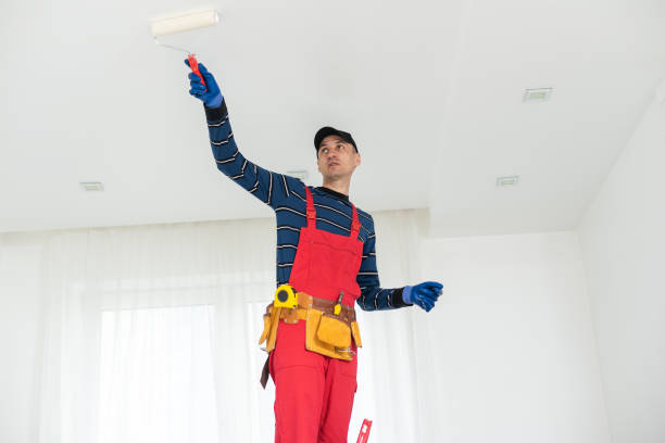 Best Water Damage & Mold Remediation  in Cortland, IL