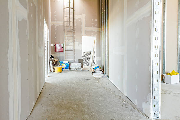 Best Attic Mold Removal  in Cortland, IL