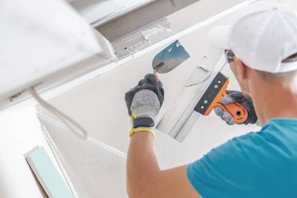 Mold Odor Removal Services in Cortland, IL